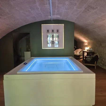 Frühstückspension Pavillon Des Millesimes, Piscine & Lussac (Gironde)