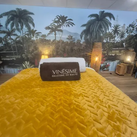 Pavillon Des Millesimes, Piscine & فندق مبيت وإفطار 4*