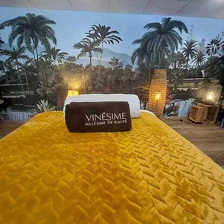 Pavillon Des Millesimes Alojamento de Acomodação e Pequeno-almoço
